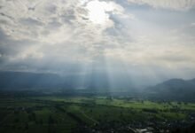 aerial photography of rays on field at daytime